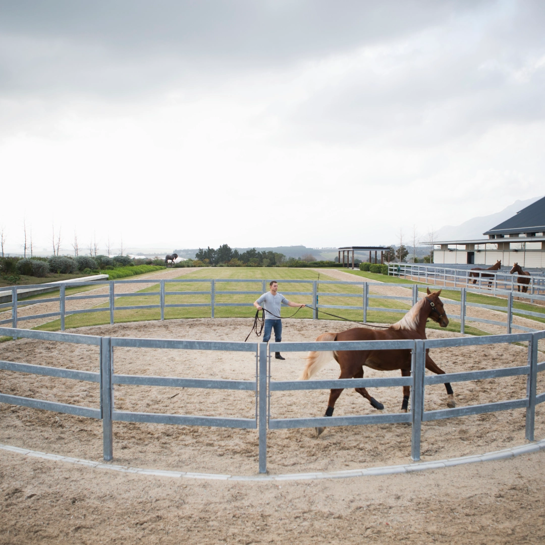 Yard visit and collaborative care
