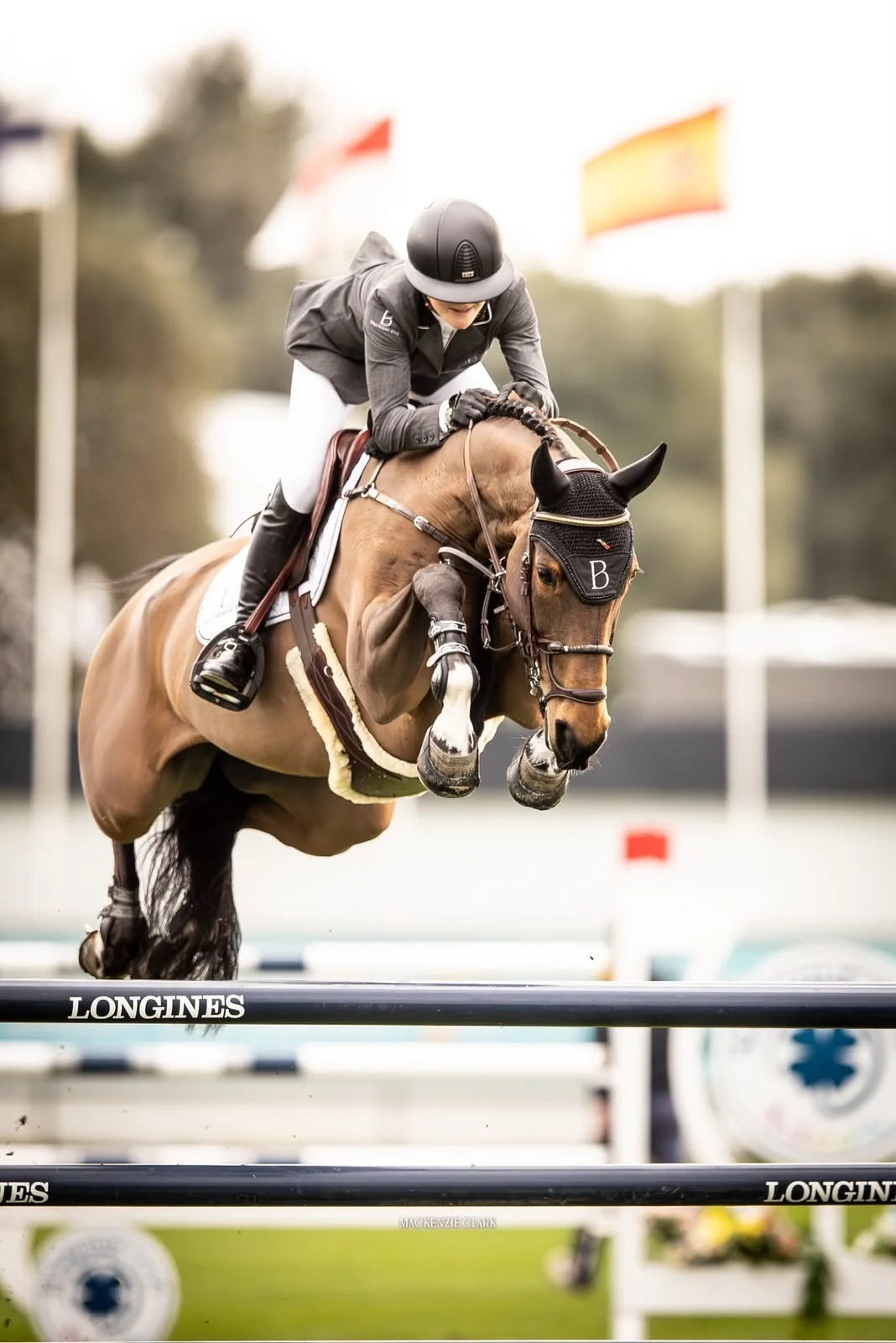 Bay sport horse and rider clearing a fence at a show jumping competition
